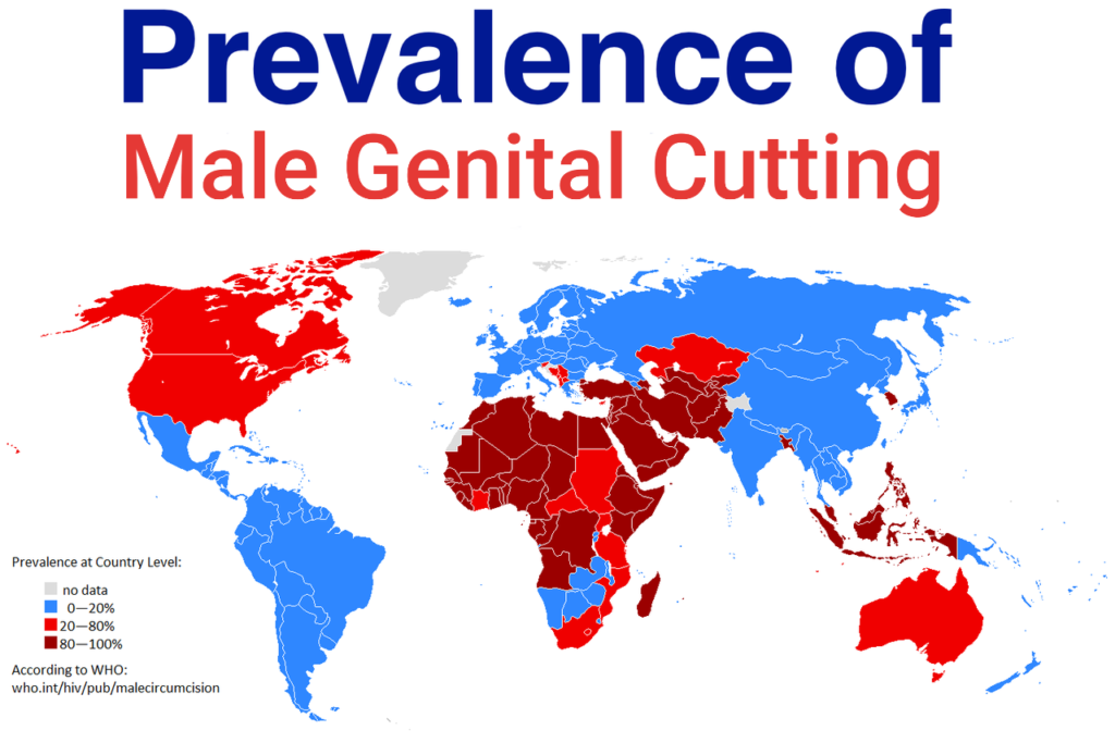 Prevalence of Male Genital Cutting (male "circumcision")