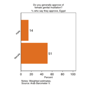 Over half of Egyptian Women Approve of FGM